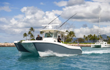 MANA Cruises + Charters19