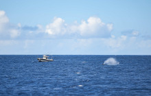 MANA Cruises + Charters11