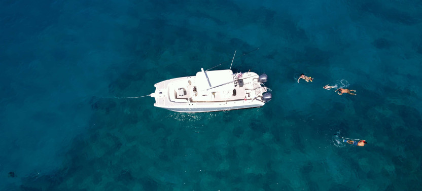 Venture Whale Watch + Snorkel Cruise (Private Charter)