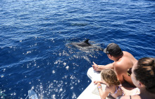 MANA Cruises + Charters13