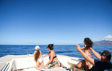 MANA Cruises + Charters7