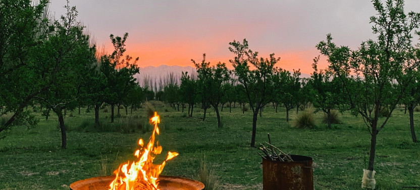 Mendoza Gaucho Experience: Horseback Riding, Creole BBQ & Live Guitar