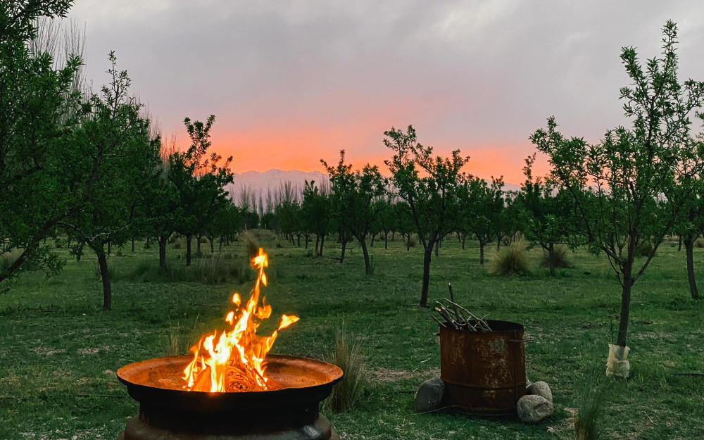 Mendoza Gaucho Experience: Horseback Riding, Creole BBQ & Live Guitar