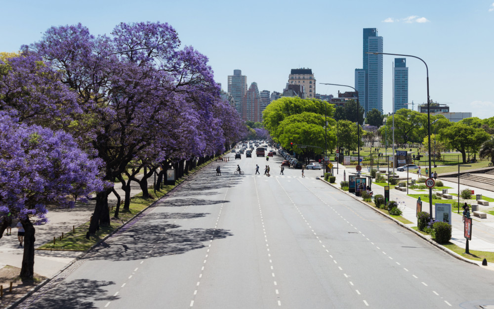 Walking Tour of Recoleta and Retiro with Historian Souvenir & Light Lunch