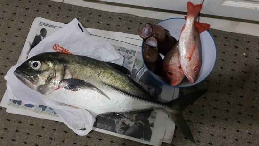 Fishing Tours