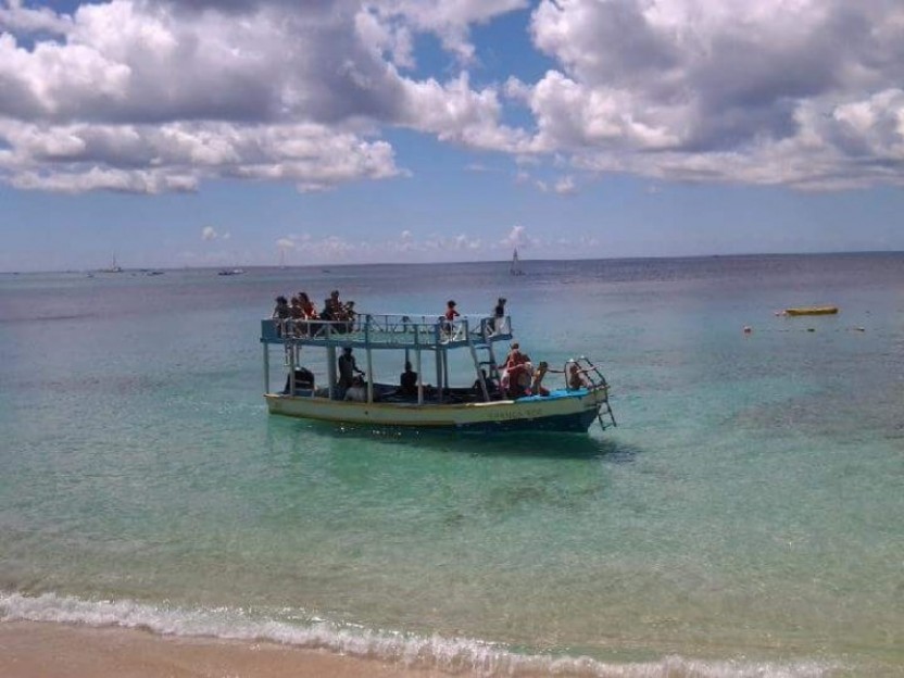Turtle and Shipwreck Tour