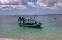 Turtle and Shipwreck Tour