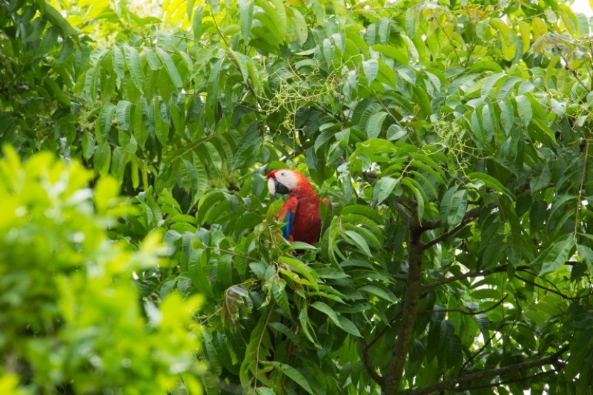 Bird Watching Tour