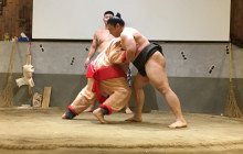 Beauty of Japan1