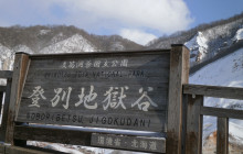 Machinovate Japan Ltd3