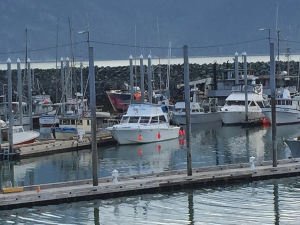 I Fish Haines Alaska & Adventure Travel Project Expedition