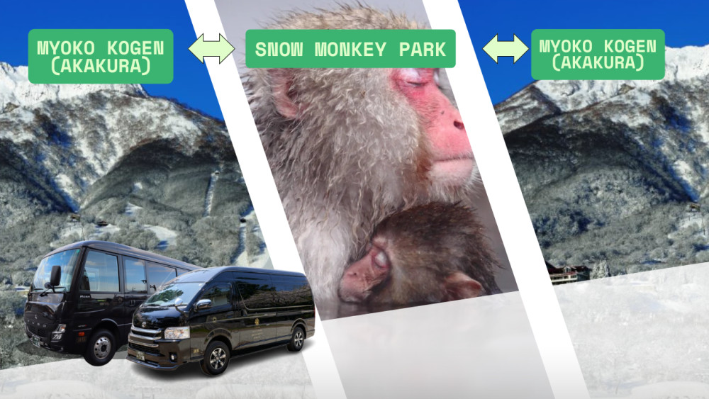 Roundtrip Charter Service from Akakura (Myoko Kogen) to Snow Monkey Park