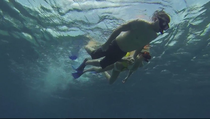 Snorkeling Adventure