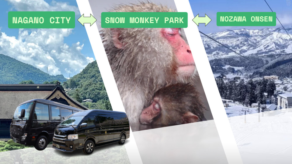 Private Charter Service Nagano City - Snow Monkey Park - Nozawa Onsen