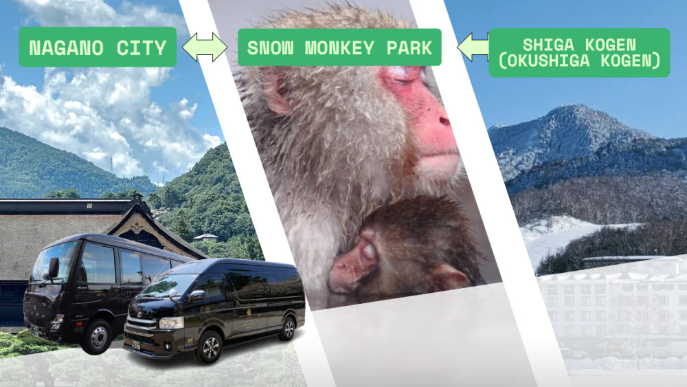 Private Charter Nagano City - Snow Monkey Park - Shiga Kogen (Okushiga)