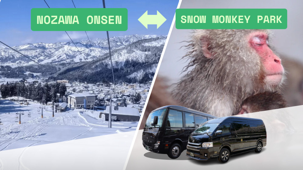 Private Charter Service Nozawa Onsen - Snow Monkey Park