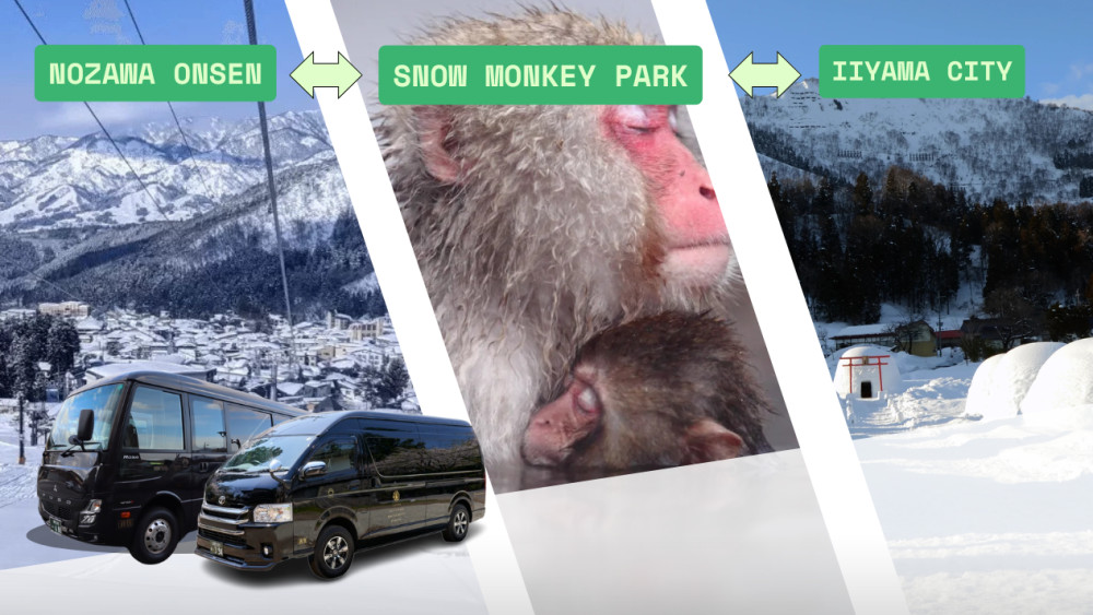 Private Charter Service Nozawa Onsen - Snow Monkey Park - Iiyama City