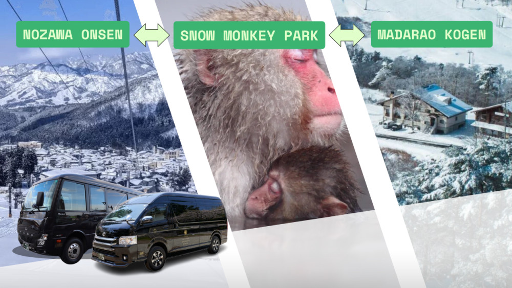 Private Charter Service Nozawa Onsen - Snow Monkey Park - Madarao Kogen