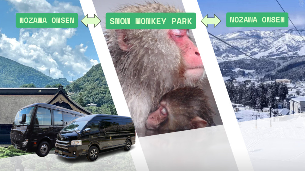 Private Charter Service Nozawa Onsen - Snow Monkey Park - Nozawa Onsen