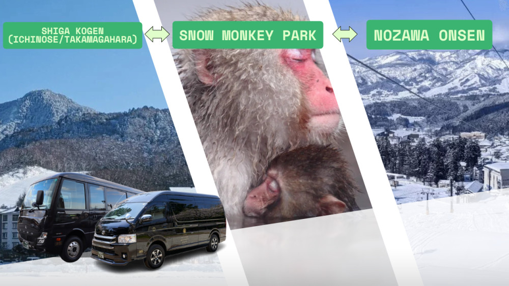 Private Shiga Kogen (Ichinose/Takamagahara) -SnowMonkey Park -Nozawa Onsen