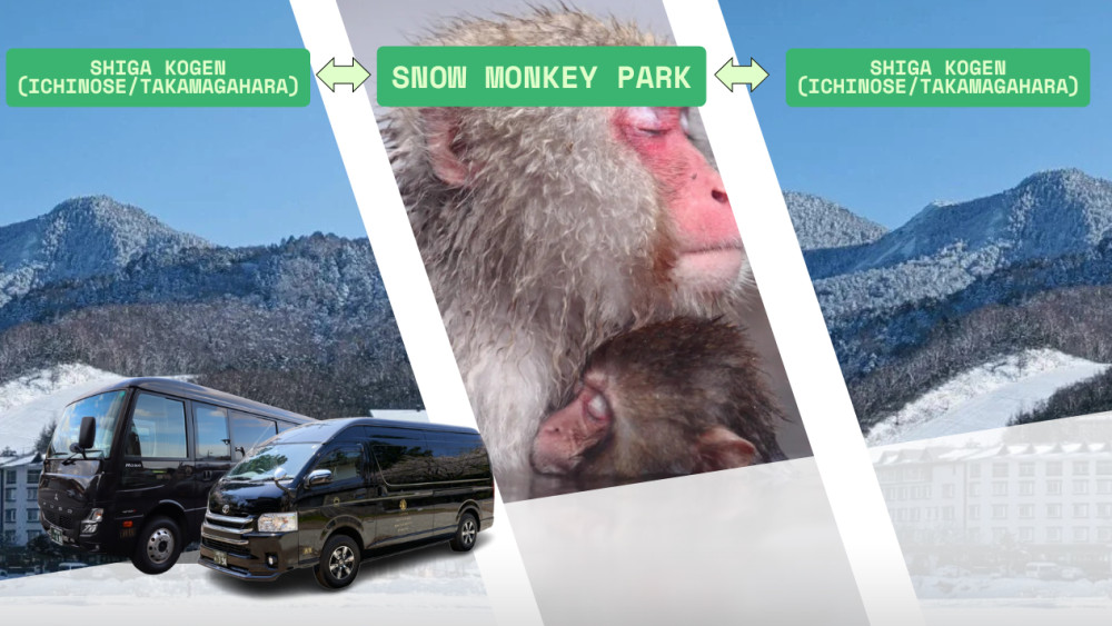 Private Driver to SnowMonkey Park from Shiga Kogen (Ichinose/Takamagahara)