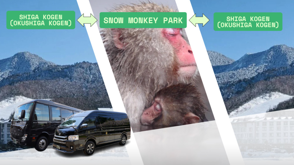 Private Driver to SnowMonkey Park - Shiga Kogen (Okushiga)