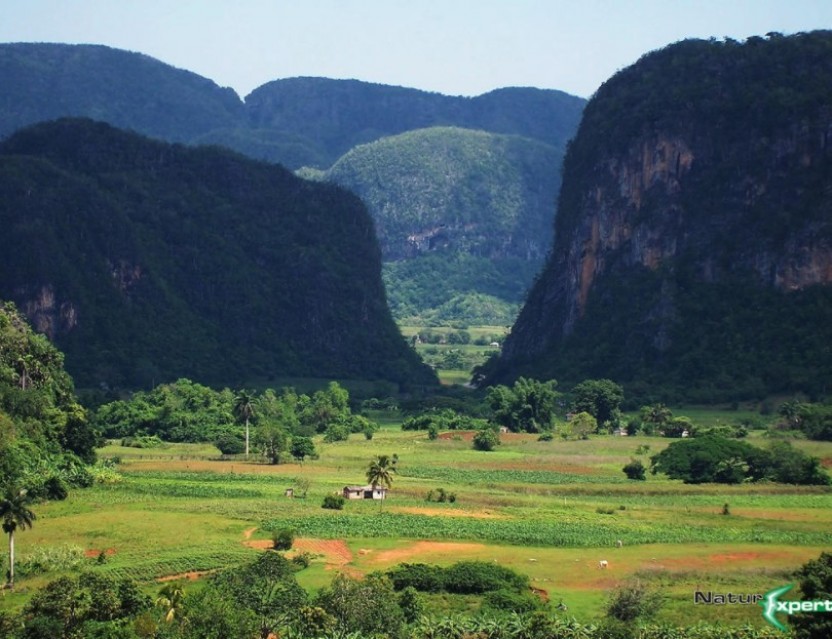 The Colours Of Cuba Private Tour 7 Nights