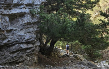 Crete Private & Luxury Tours by Snami Travel7
