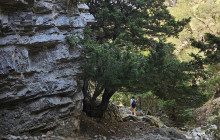 Crete Private & Luxury Tours by Snami Travel7