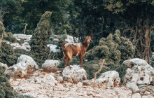 Crete Private & Luxury Tours by Snami Travel10
