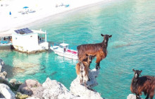 Crete Private & Luxury Tours by Snami Travel13