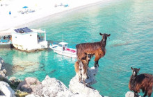 Crete Private & Luxury Tours by Snami Travel12