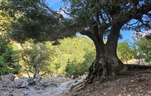 Crete Private & Luxury Tours by Snami Travel18