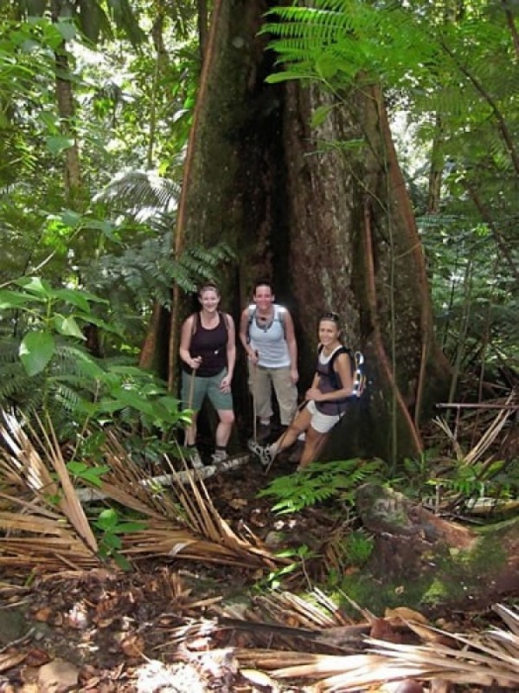 Rainforest Hike Basseterre Project Expedition