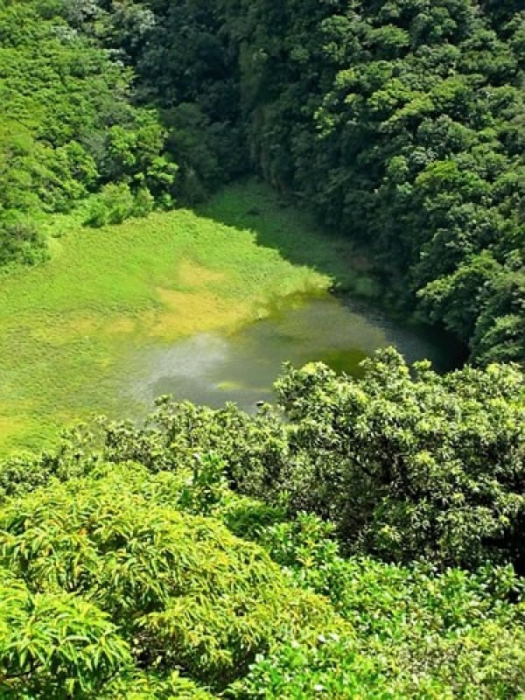 Mount Liamuiga Volcano Hike Basseterre Project Expedition