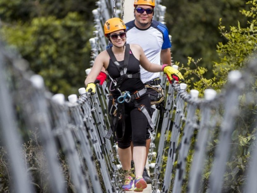 Wild Bull & Zipline
