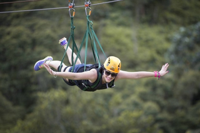 Zipline & The Beast & Wild Bull