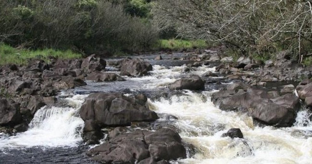 The Umauma Experience