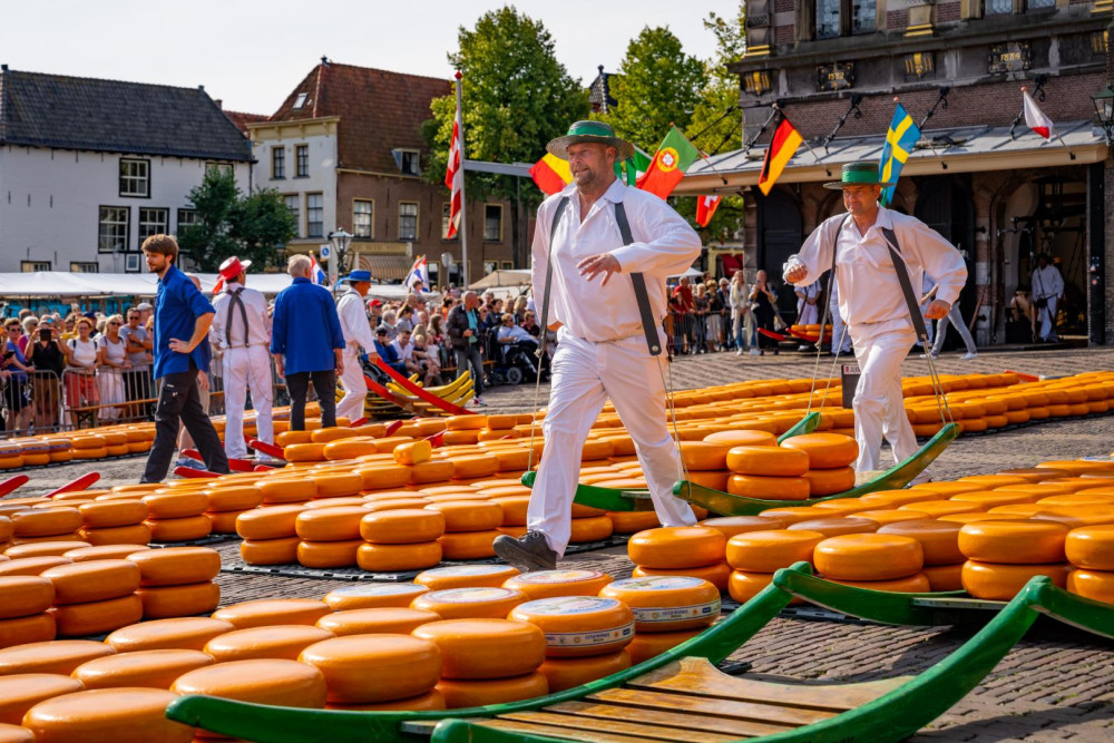 Alkmaar Cheese Market Tour & Highlights of the City