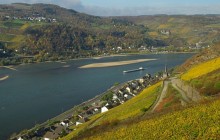 Half Day Tour to The Rhine Valley