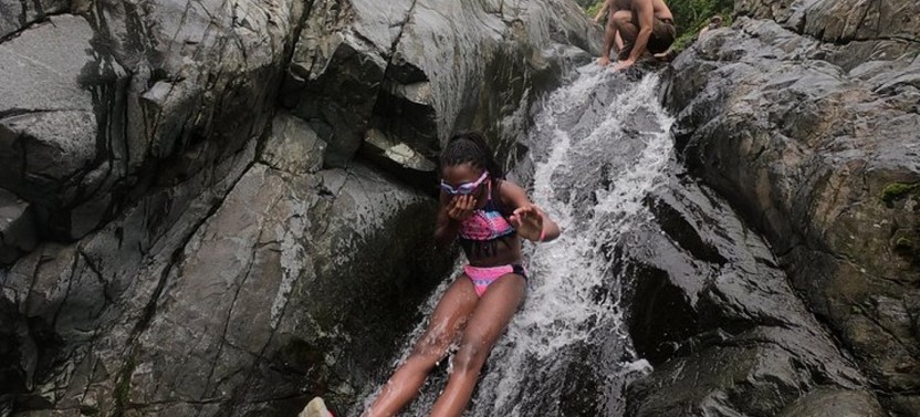 Rainforest Yunque Small Group Tour