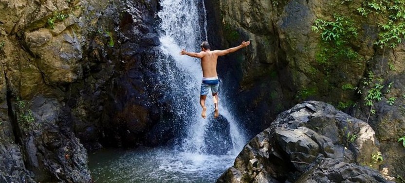 Rainforest Yunque Small Group Tour