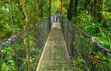 Greenway Nature Tours551