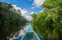 Greenway Nature Tours569
