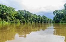 Greenway Nature Tours591