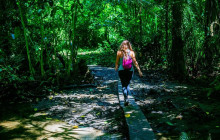 Greenway Nature Tours651