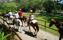 Greenway Nature Tours680