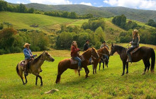 Greenway Nature Tours700