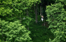 Greenway Nature Tours778