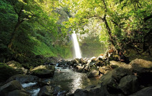 Greenway Nature Tours814